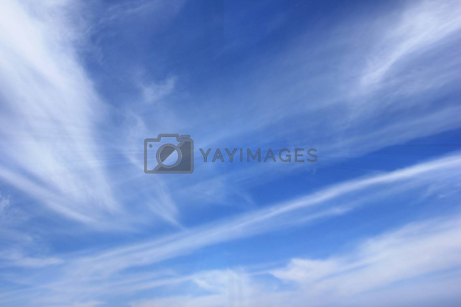 Royalty free image of Blue sky and light white clouds by Flik47