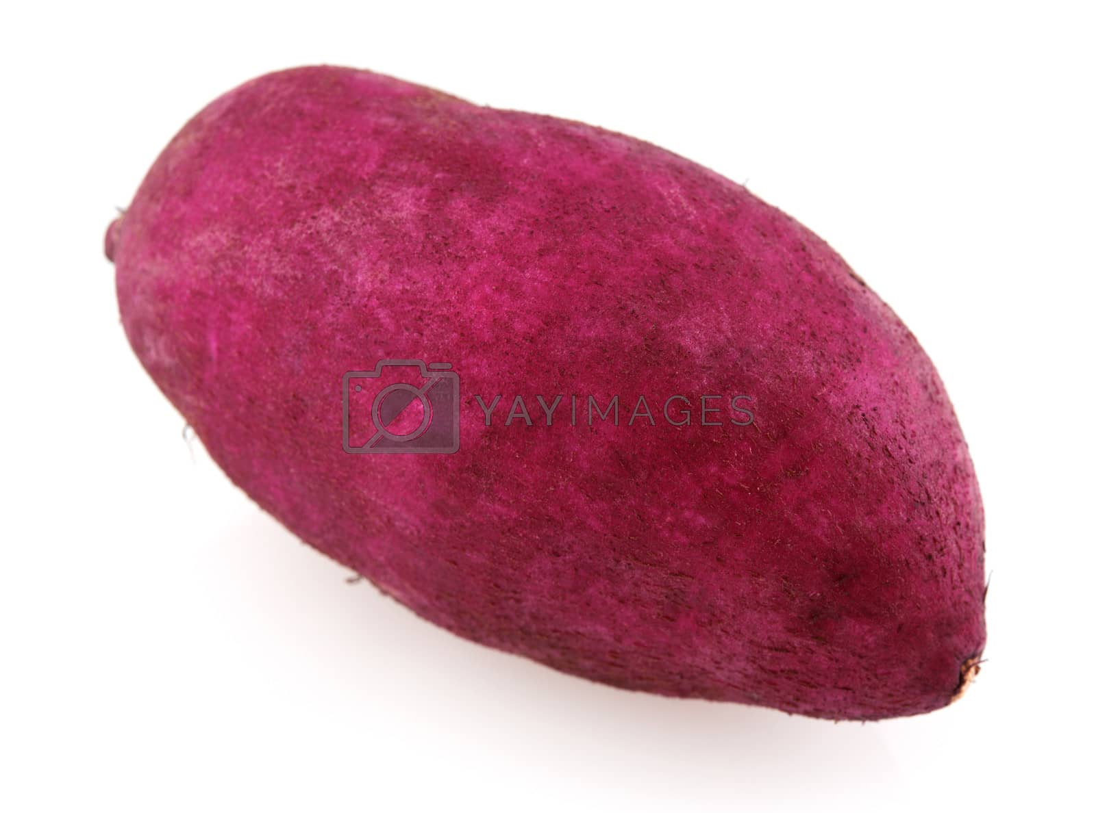 Royalty free image of sweet potato by szefei