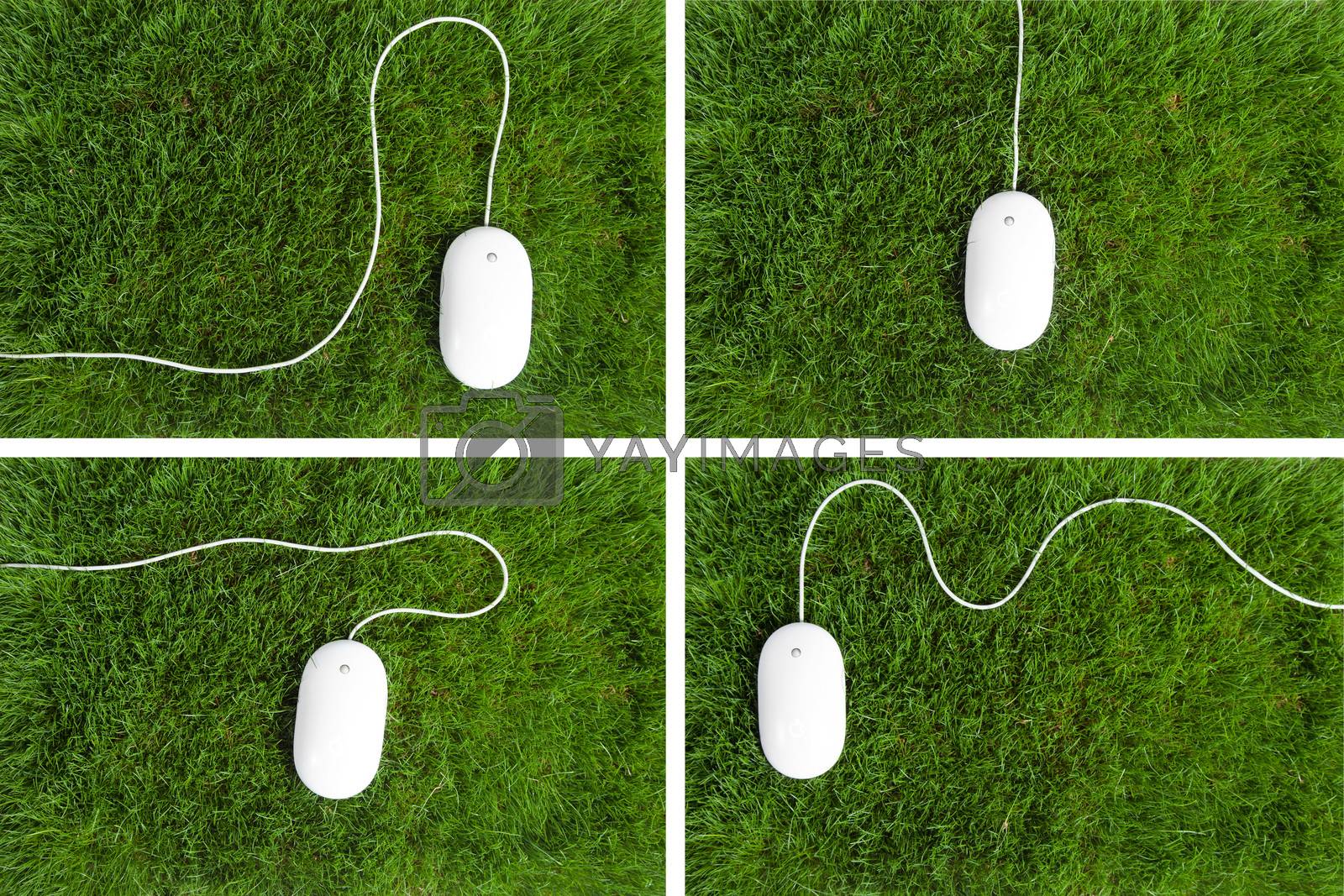 Royalty free image of Mouse in the Grass Collage by mothy20