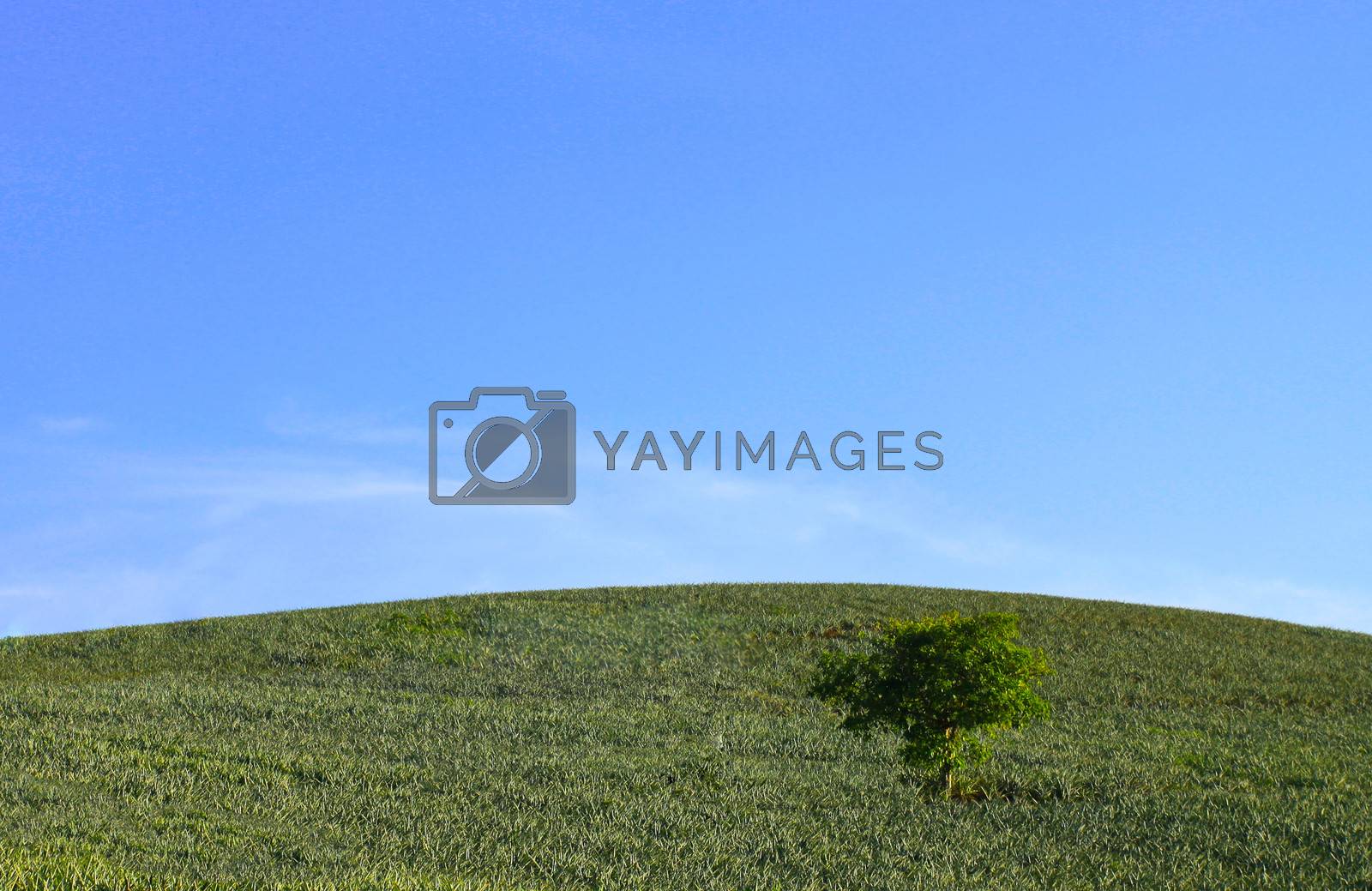 Royalty free image of green hill by zirconicusso