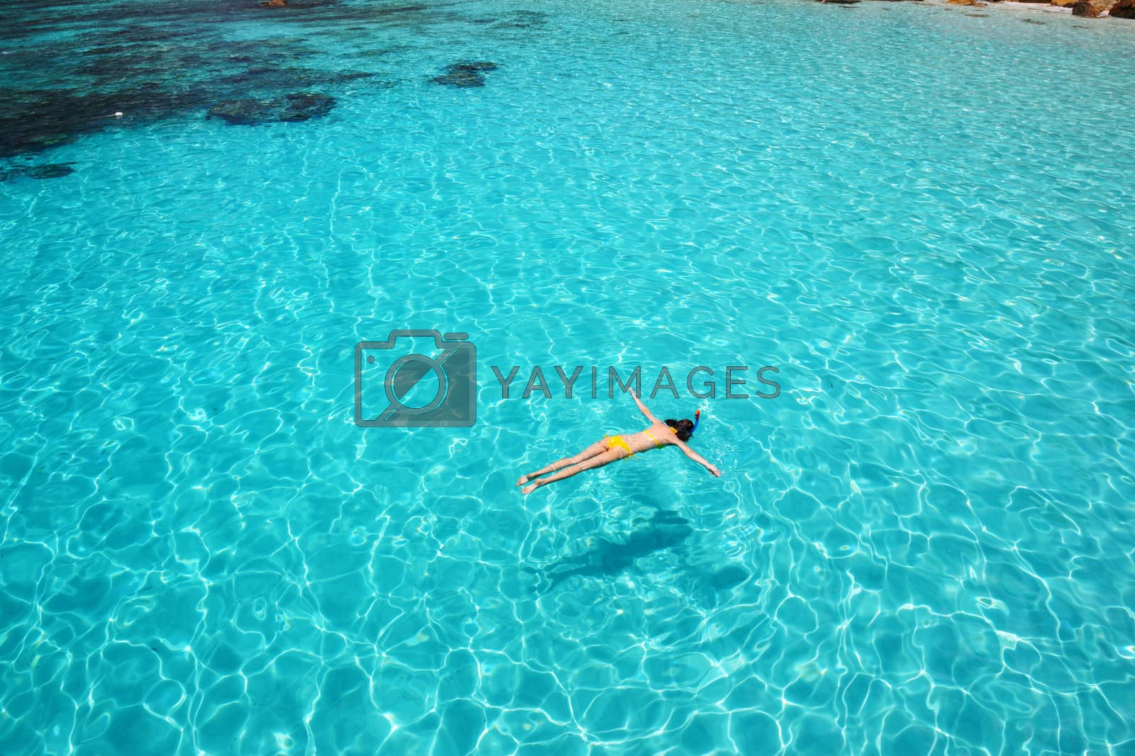 Royalty free image of Woman snorkeling  by haveseen