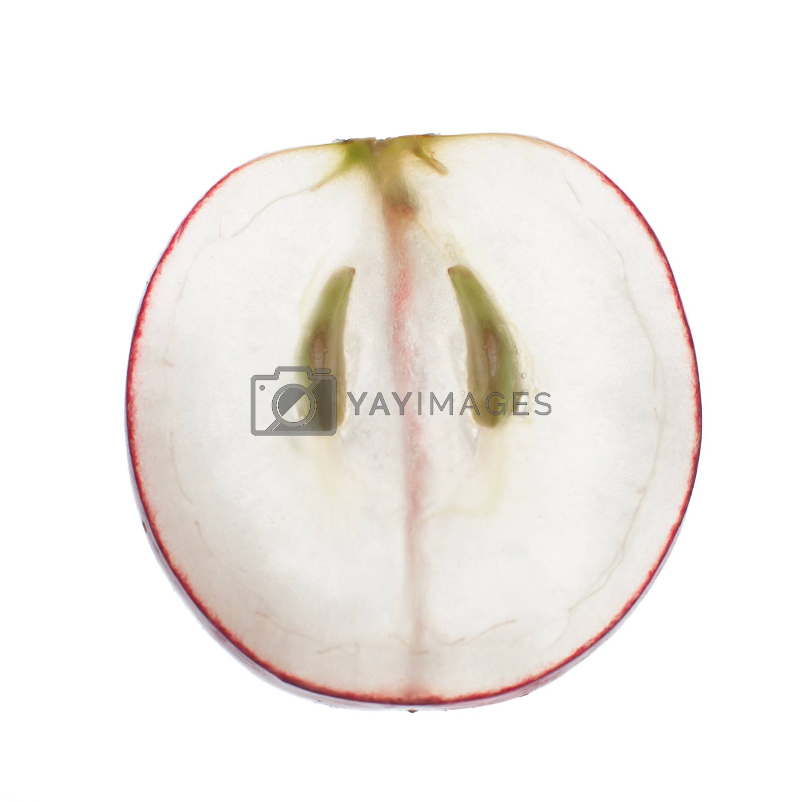 Royalty free image of Translucent slice of red grape by homydesign
