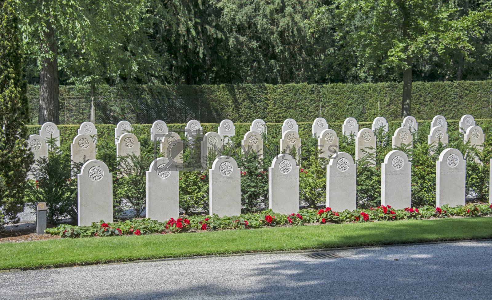 Royalty free image of militairy cementry in Holland by compuinfoto