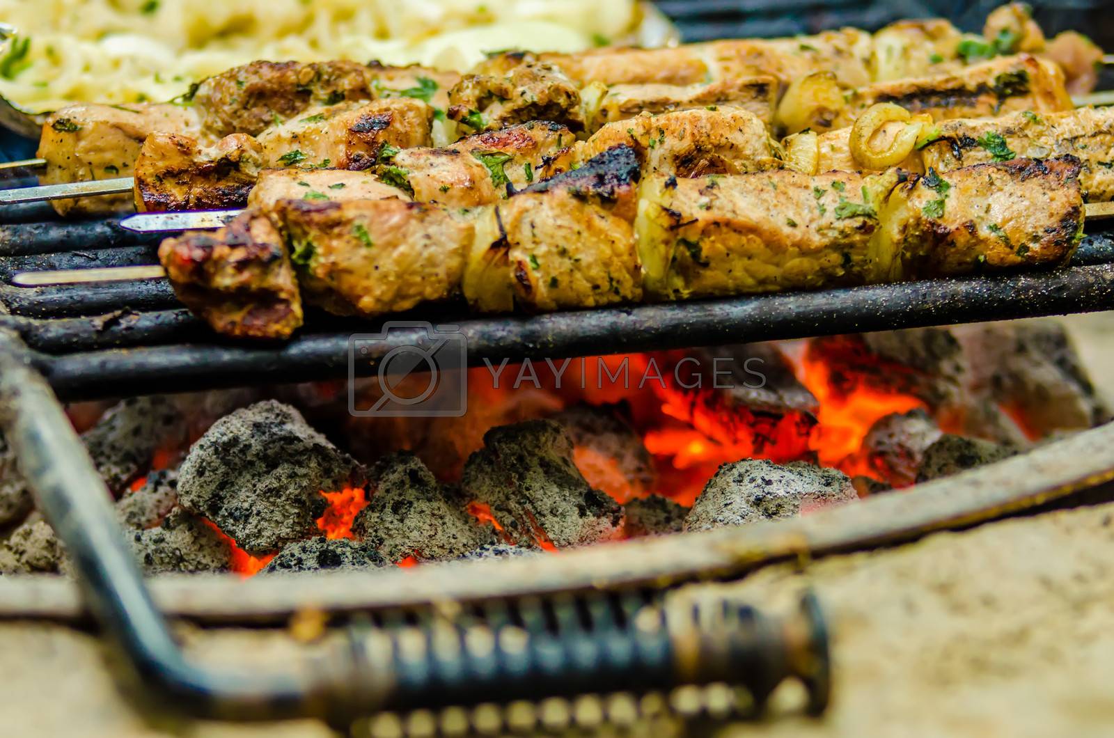 Royalty free image of beef kababs on the grill closeup by digidreamgrafix