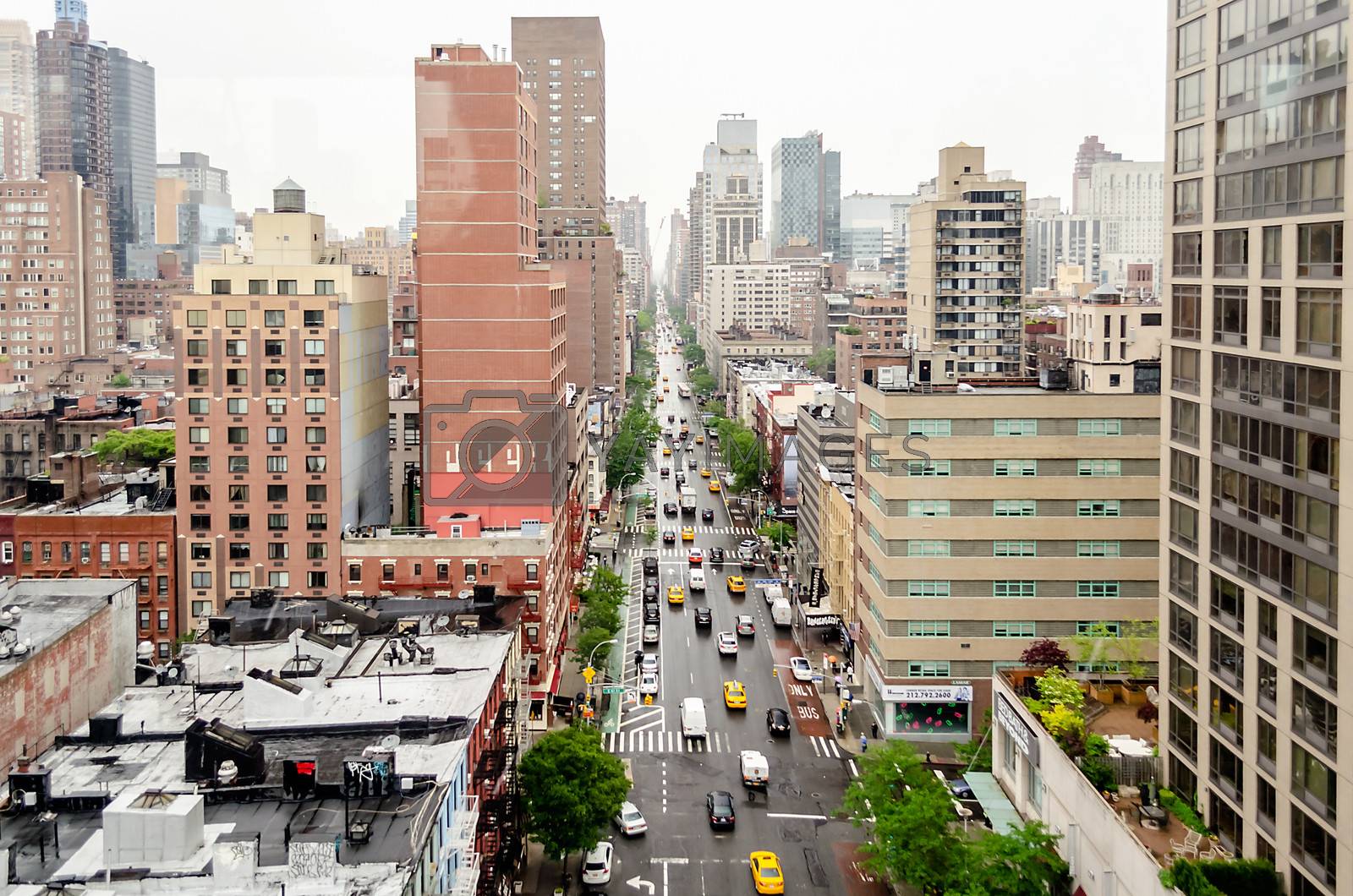 Royalty free image of 1st Avenue, Manhattan by marcorubino