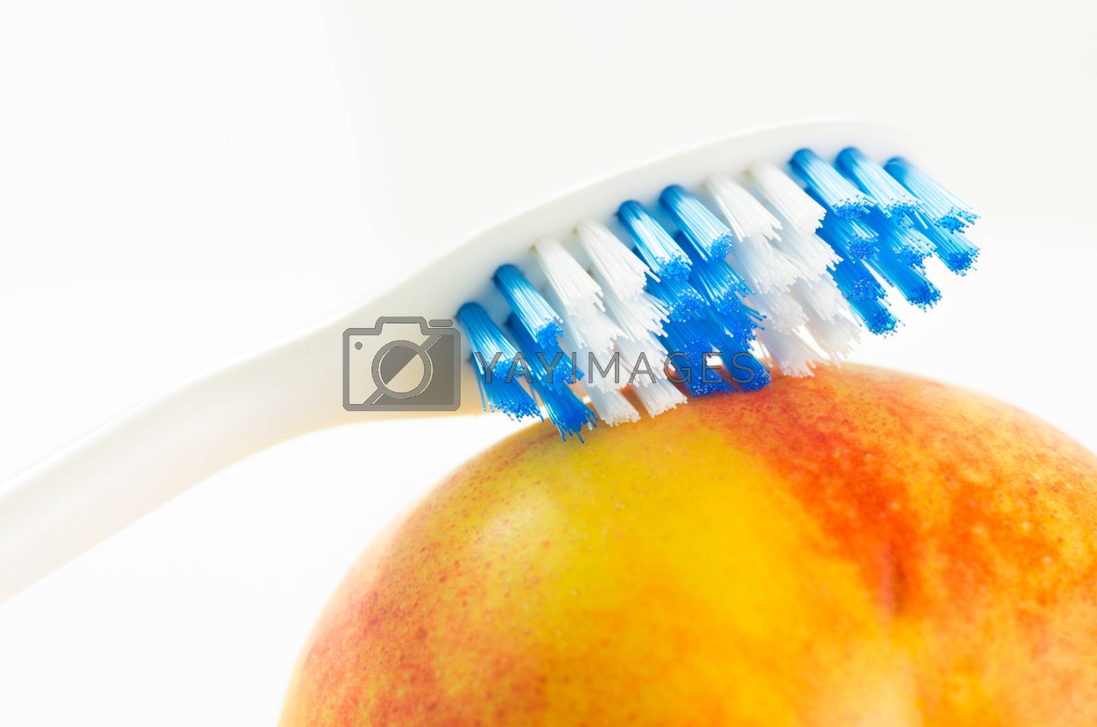 Royalty free image of Toothbrush on fruit by talsen