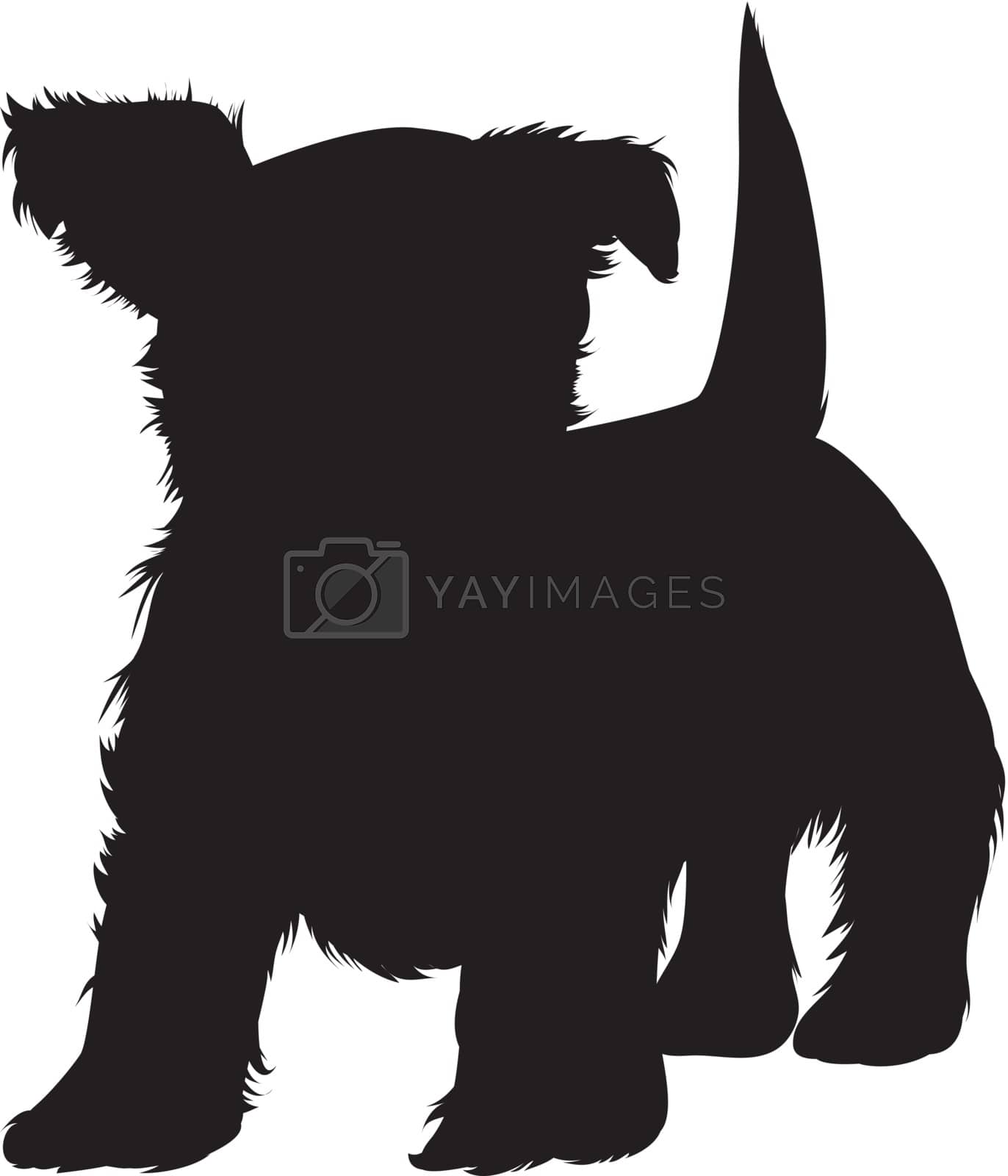 Royalty free image of Dog silhouette by yurka