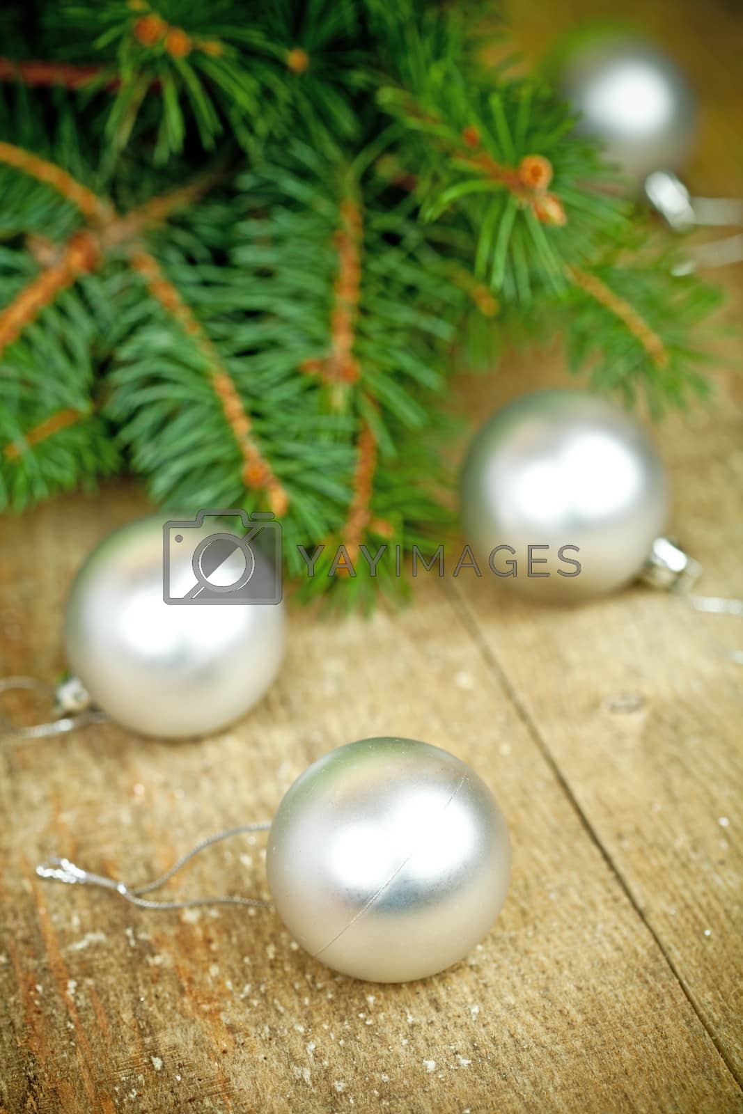 Royalty free image of christmas decorations and fir tree  by marylooo