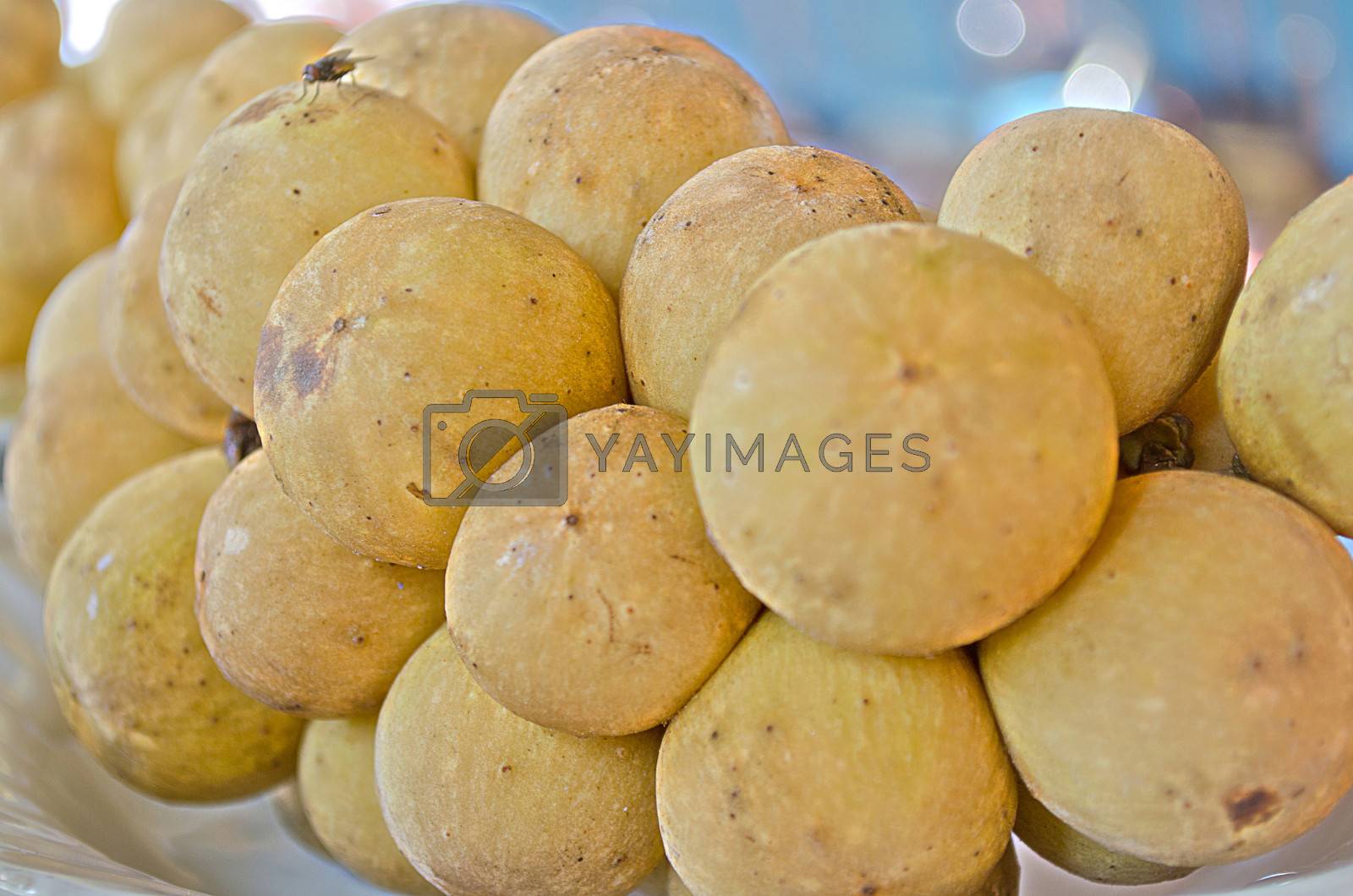 Royalty free image of Fresh Longan Thai Fruit Yummy by kobfujar