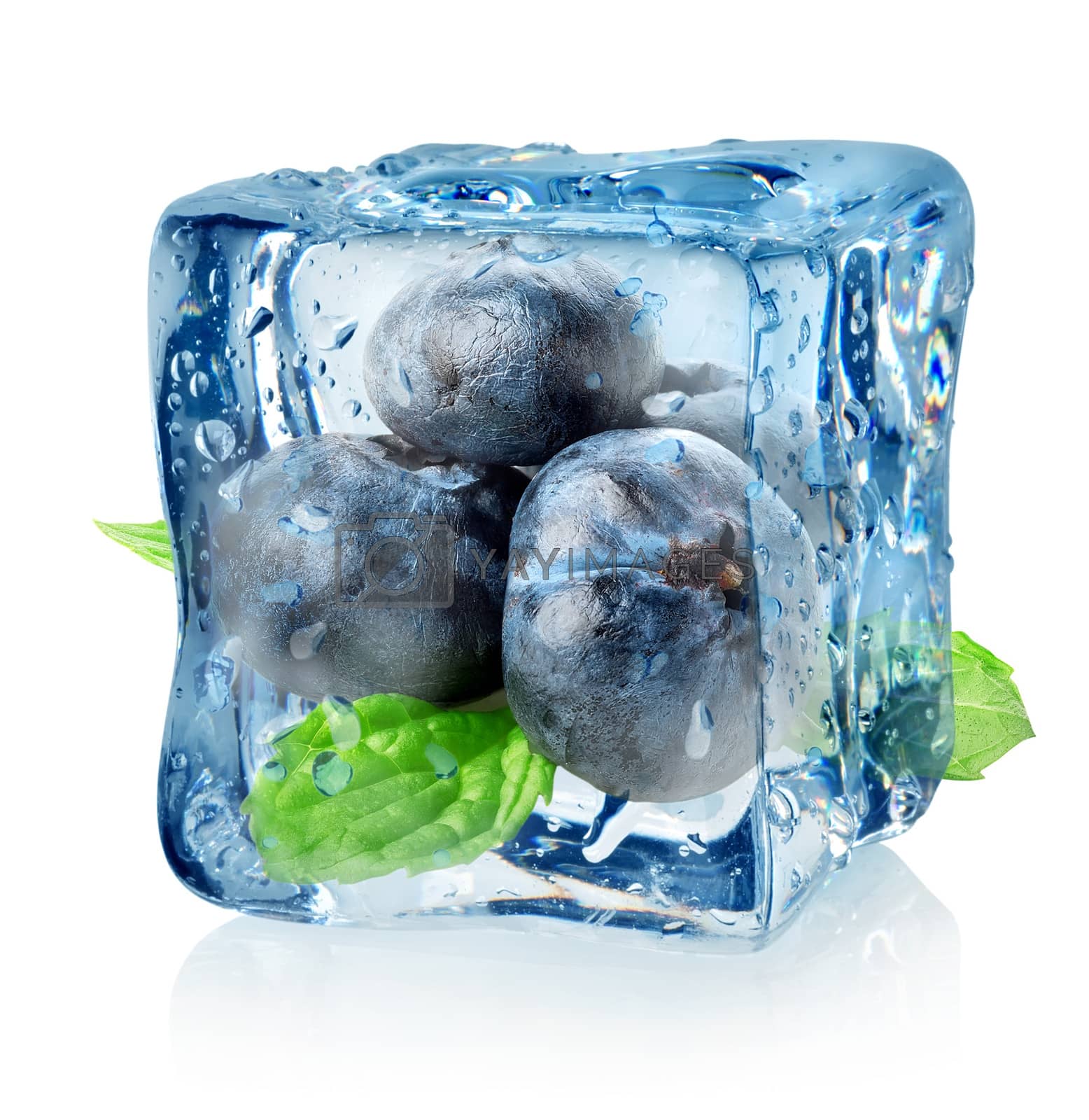 Royalty free image of Ice cube and blueberry by Givaga