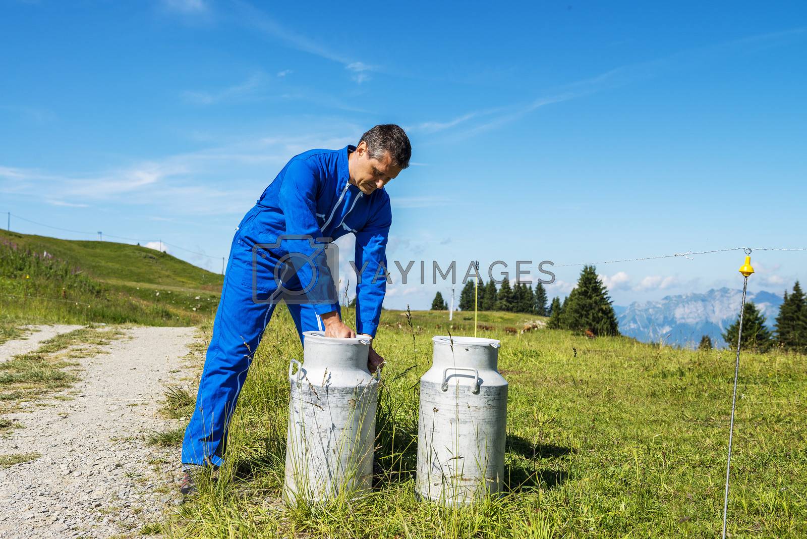 Royalty free image of farmer with milk containers by ventdusud