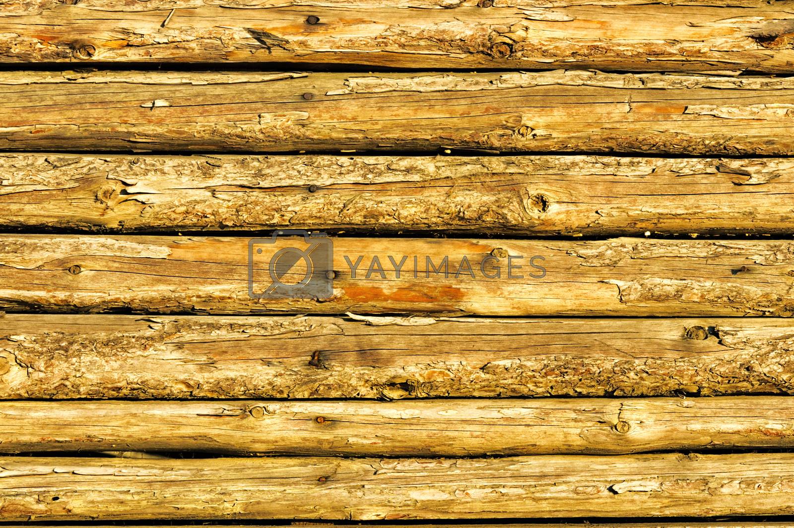 Wooden texture 