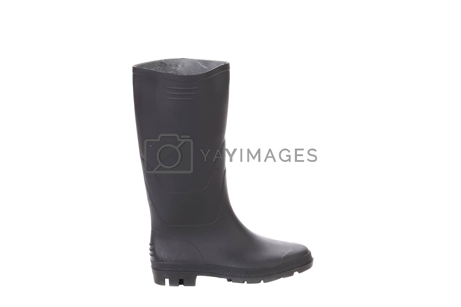 Royalty free image of High rubber boot black color. by indigolotos