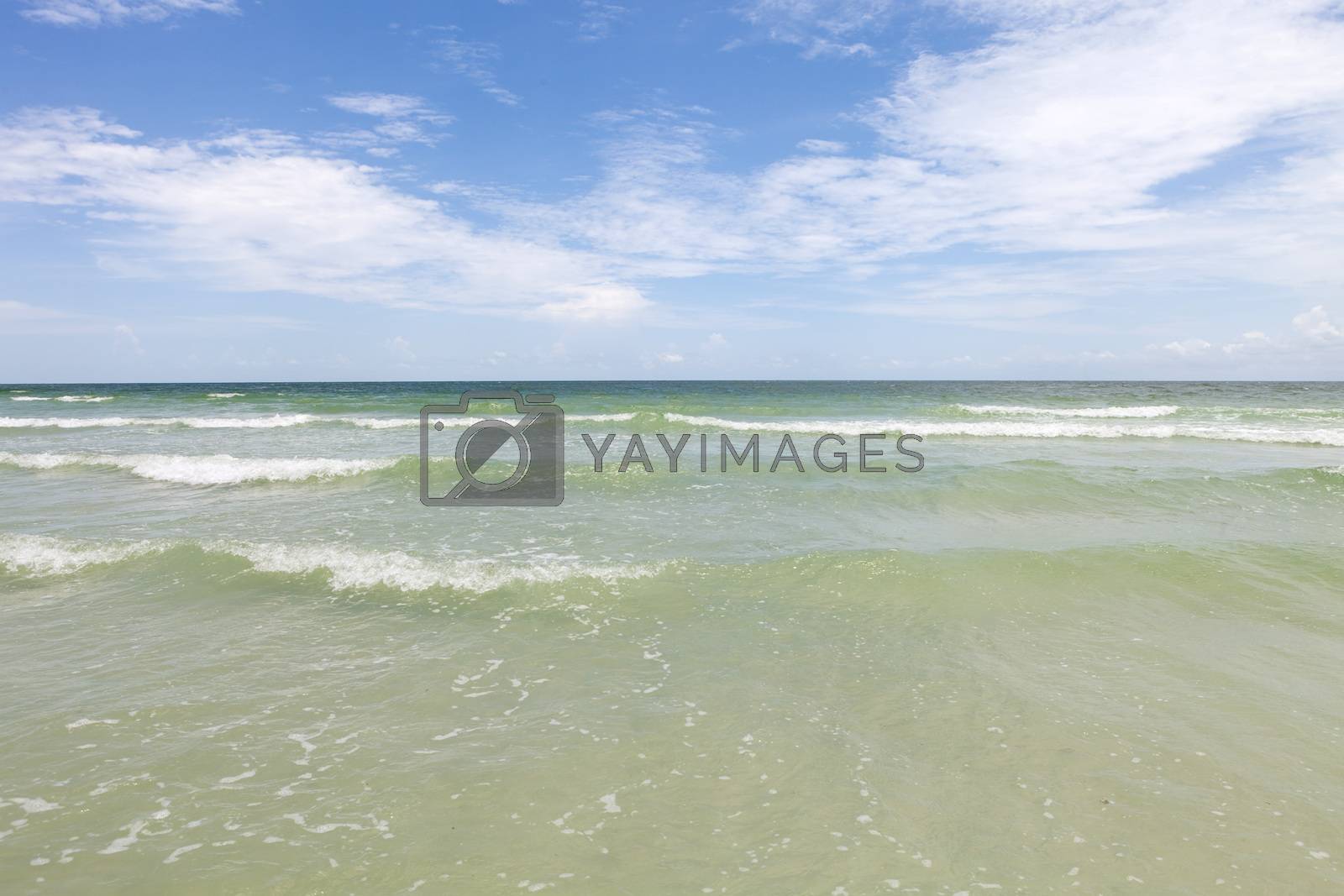 Royalty free image of Siesta Key Beach Sarasota Florida by graficallyminded