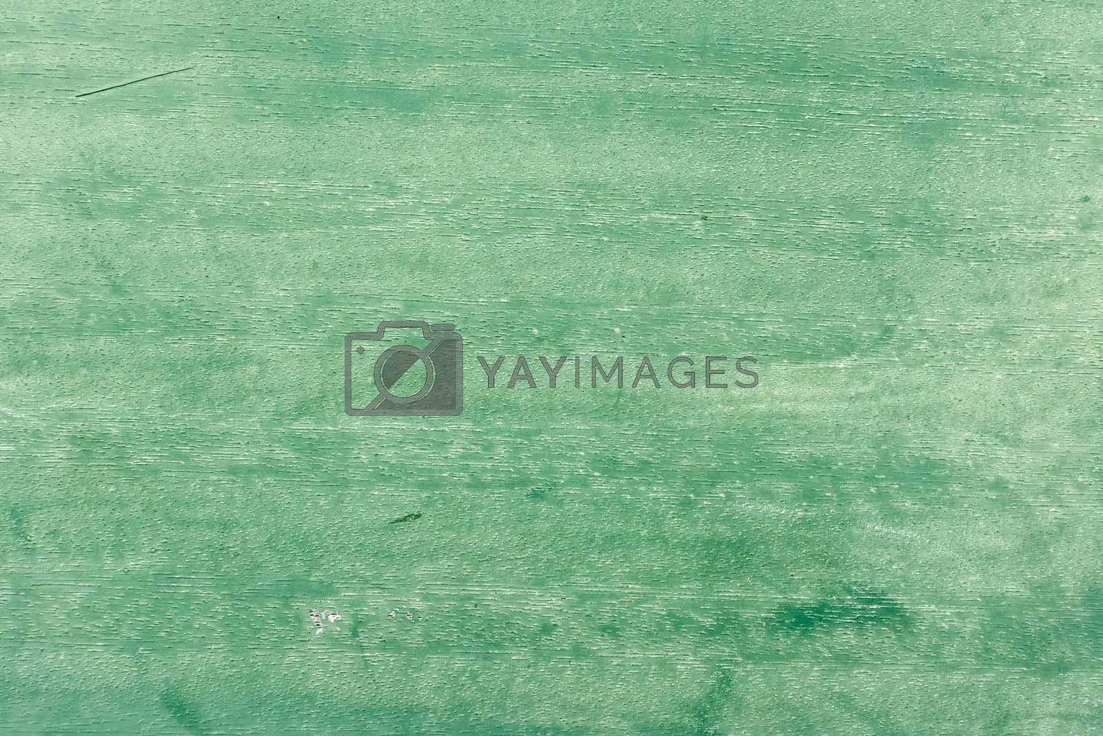 Royalty free image of Green textured background by elwynn