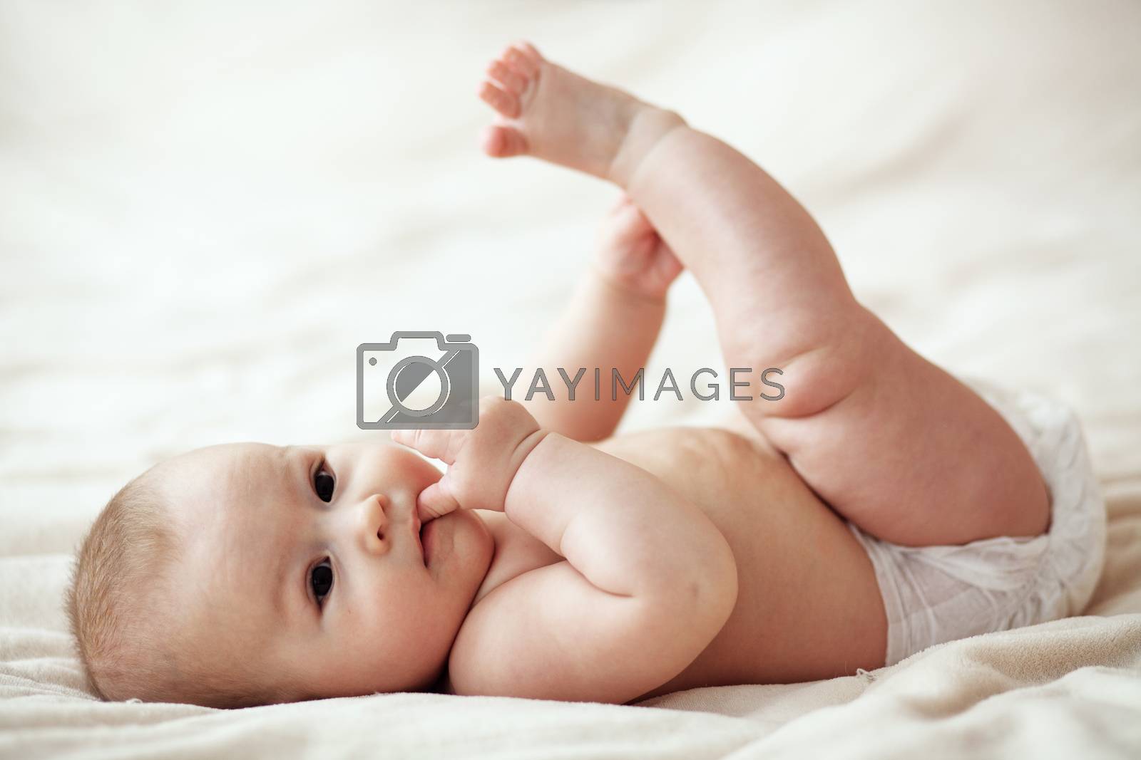 Royalty free image of Baby by alenkasm