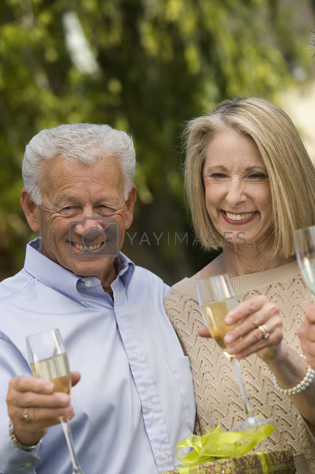 Royalty free image of Happy senior couple standing together while holding glass of champagne by moodboard
