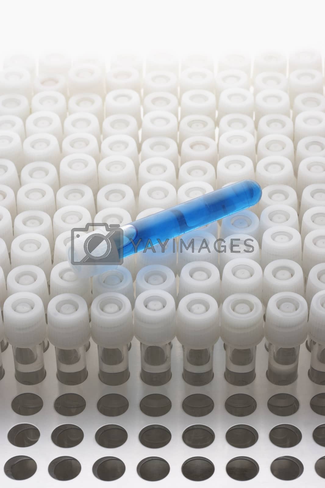 Royalty free image of Blue test tube lying on empty test tubes by moodboard