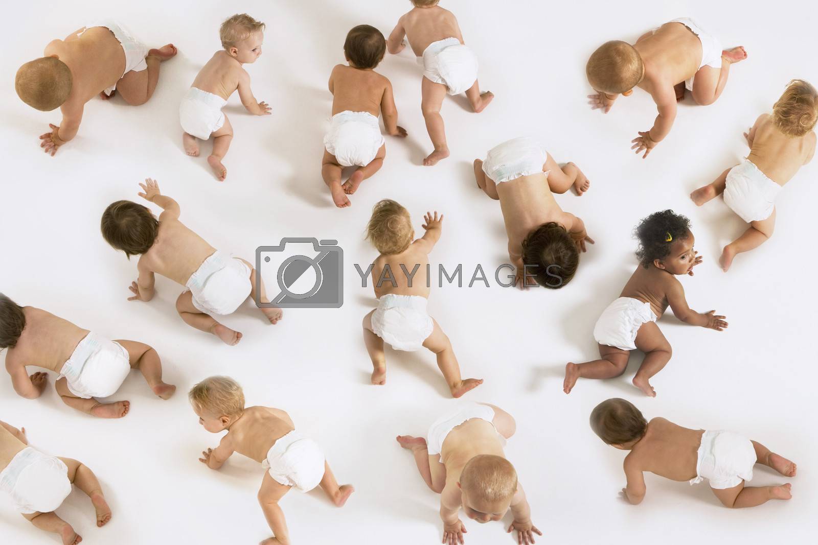 Royalty free image of Large Group of Babies montage by moodboard