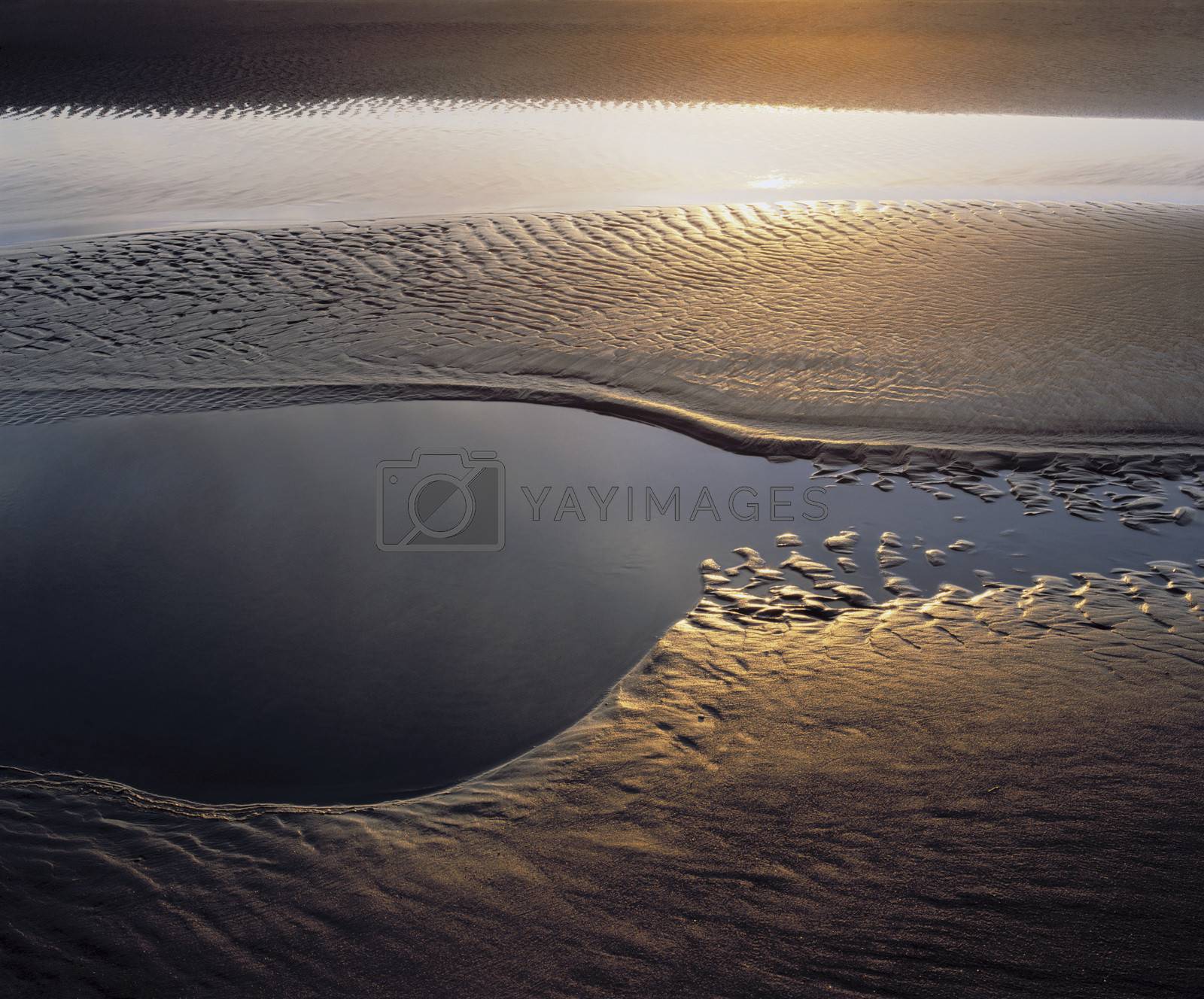 Royalty free image of Sunlight on tidal flats by moodboard
