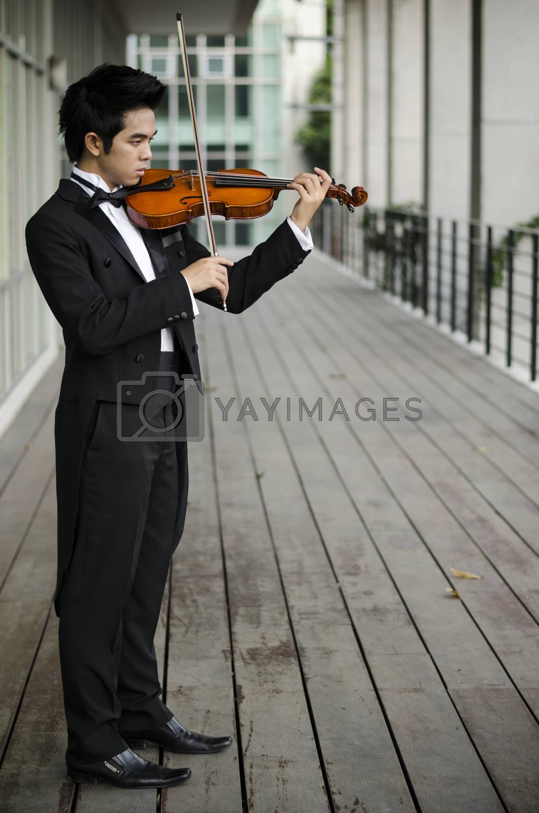 Royalty free image of asia man with his violin by ammza12