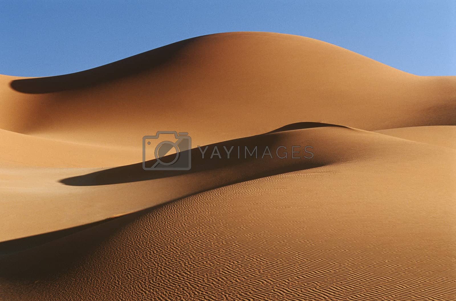 Royalty free image of Namibia Namib Desert sand dunes by moodboard