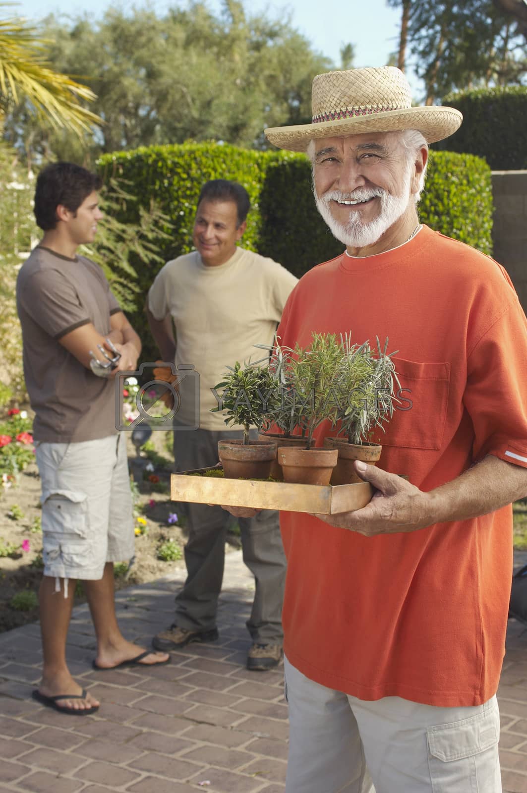 Royalty free image of Portrait of a happy senior man holding potted plants with men standing in the background by moodboard