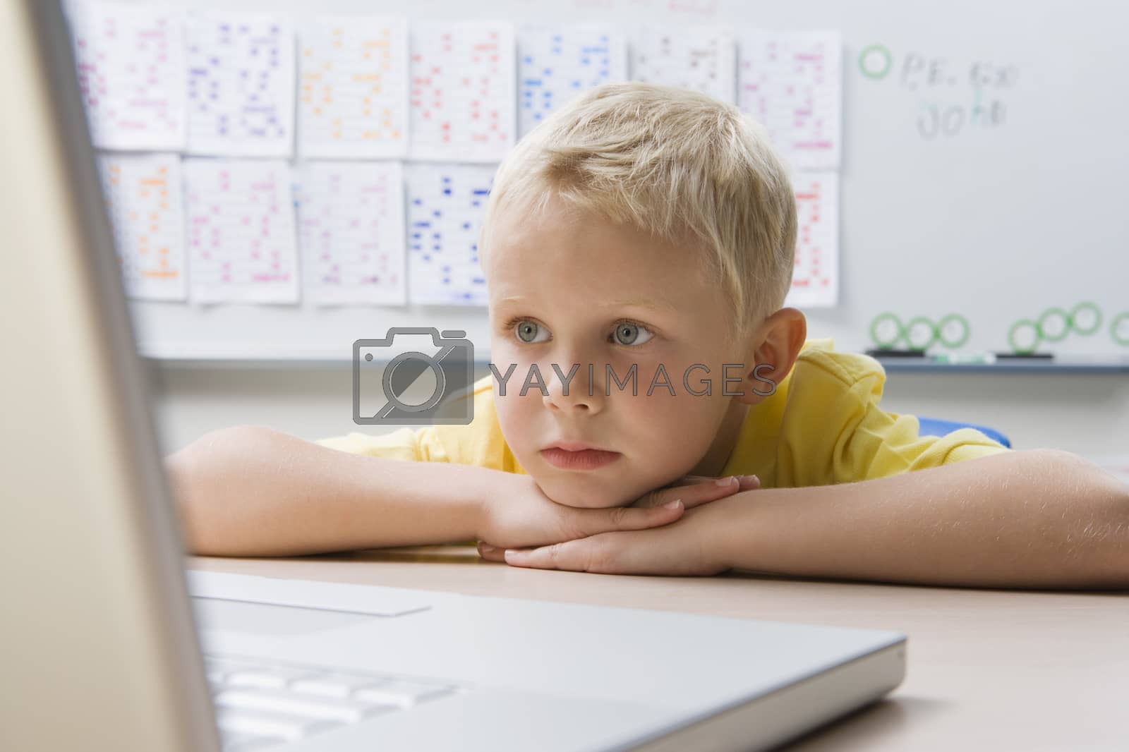 Royalty free image of Schoolboy Using a Laptop by moodboard