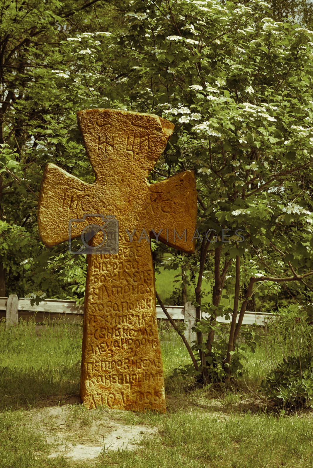 Royalty free image of Slavic ancient cross by iryna_rasko