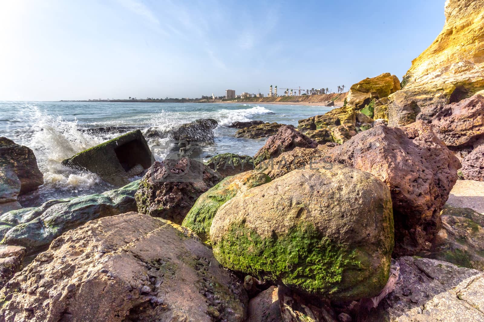 Royalty free image of Shores of Dakar by derejeb