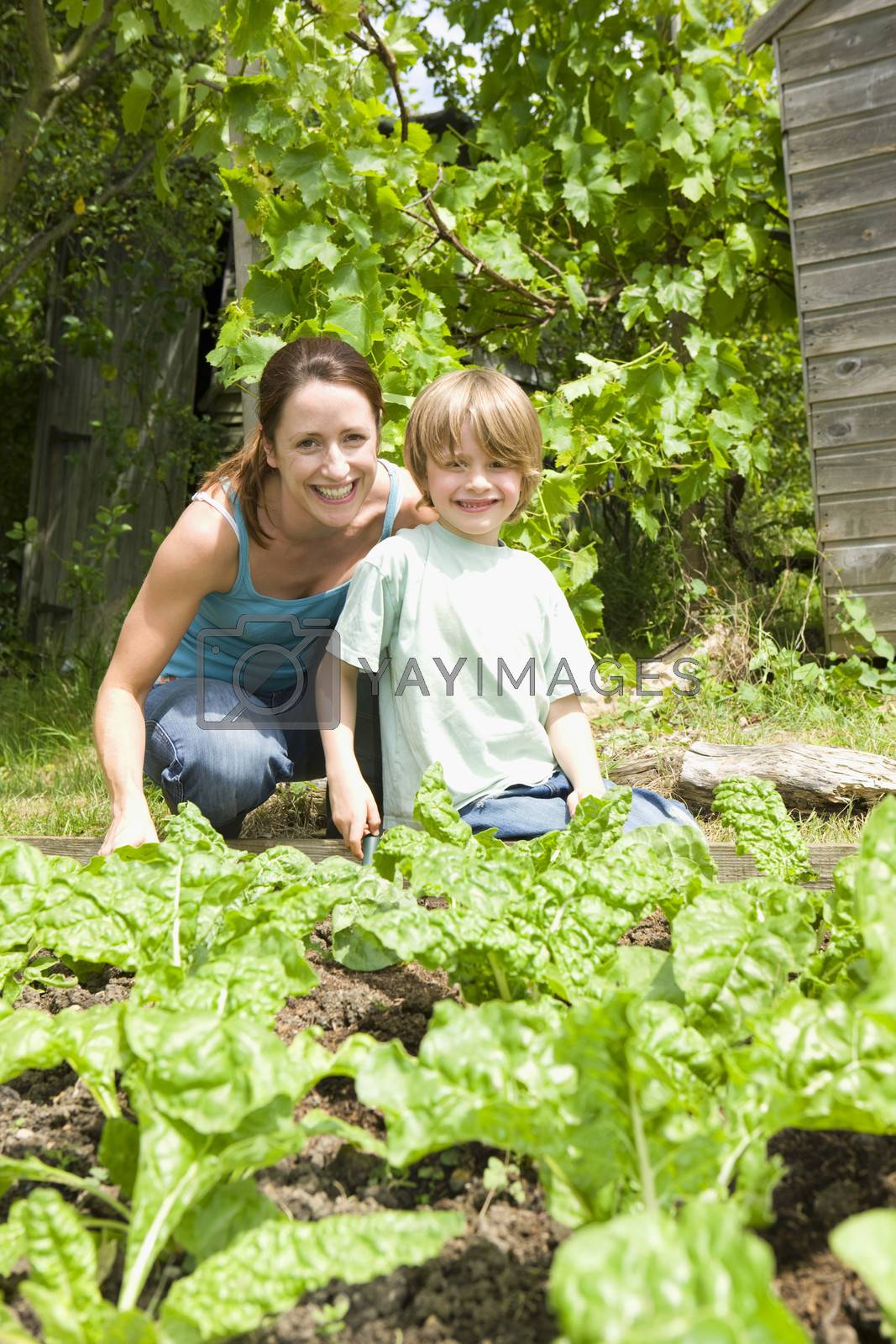 Royalty free image of Boy gardening with mother portrait by moodboard