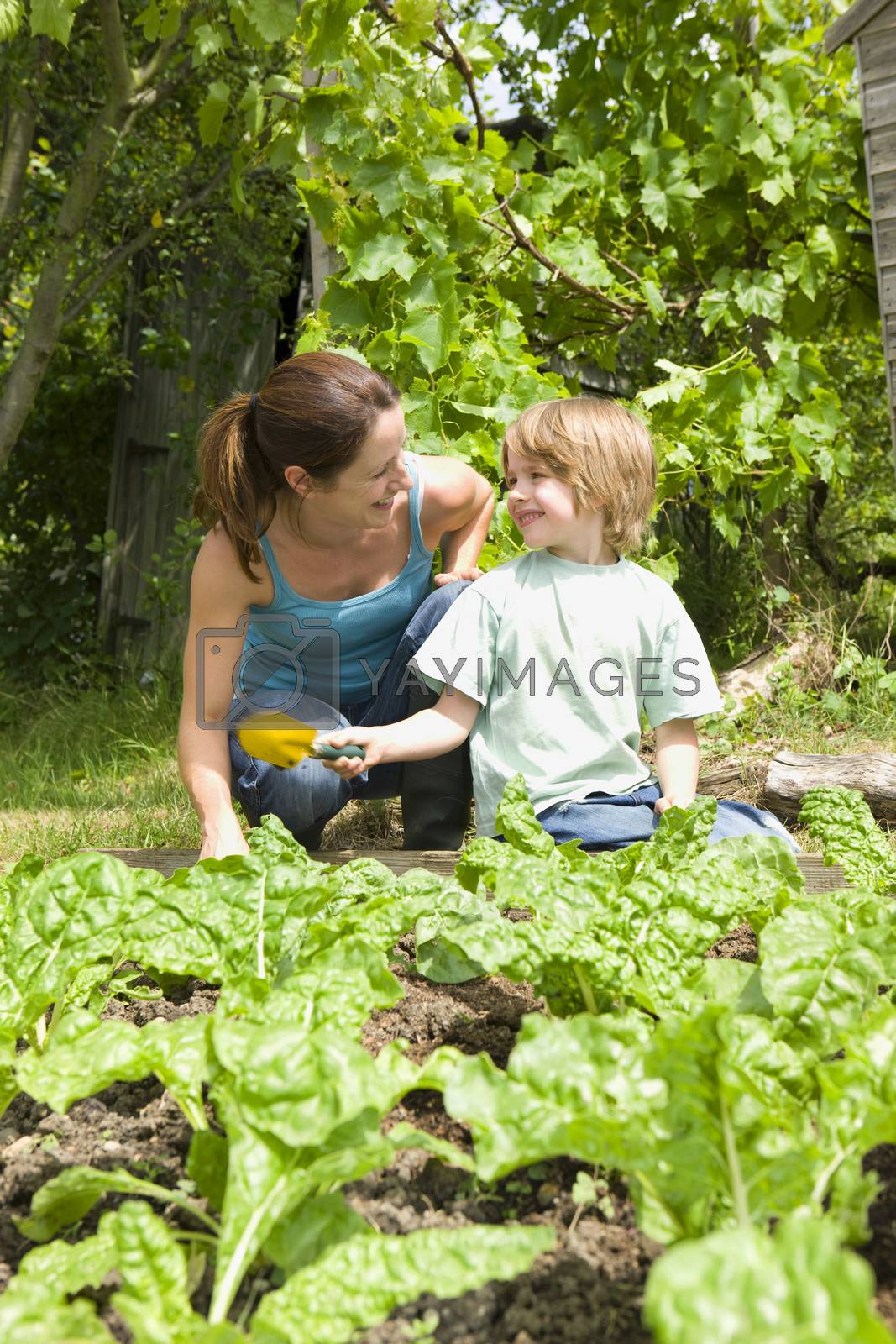 Royalty free image of Boy gardening with mother by moodboard