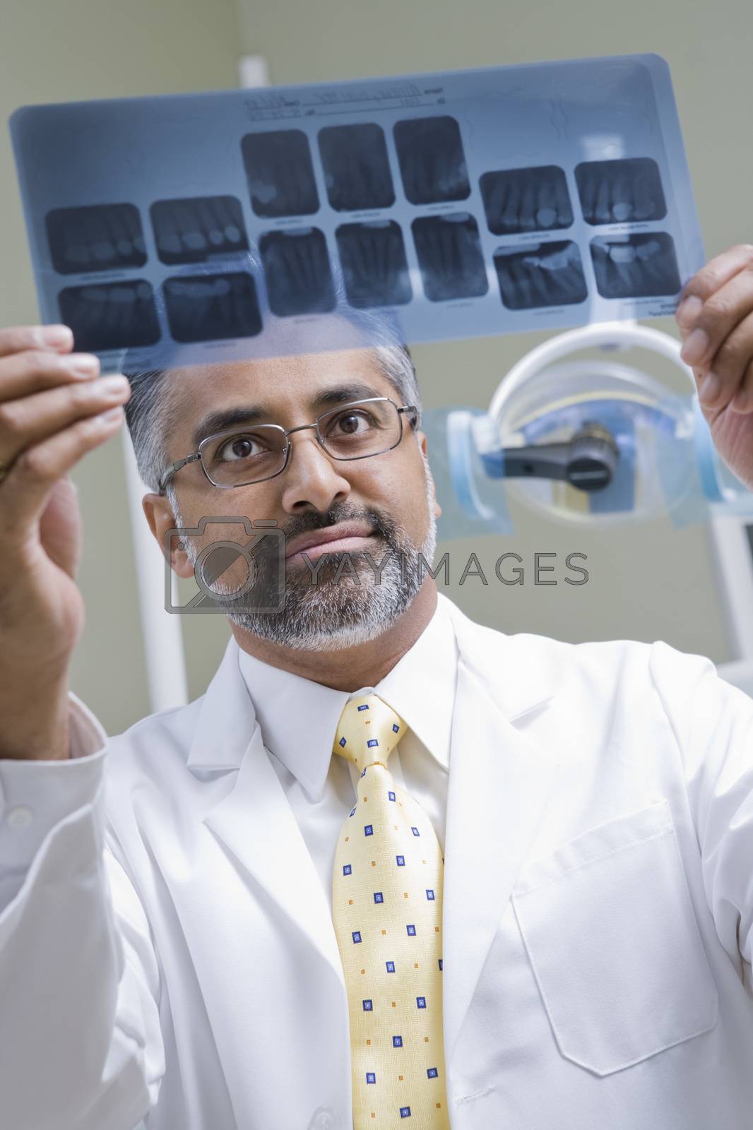 Royalty free image of Male Asian dentist examining x-ray report in clinic by moodboard