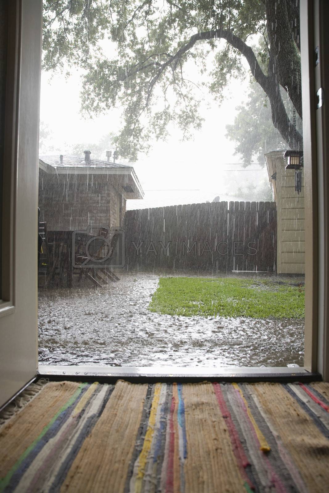 Royalty free image of Heavy rain in backyard by moodboard