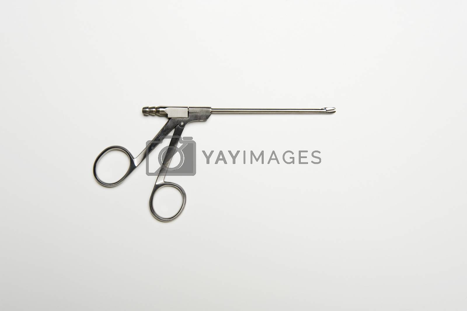 Royalty free image of Surgical Scissor by moodboard