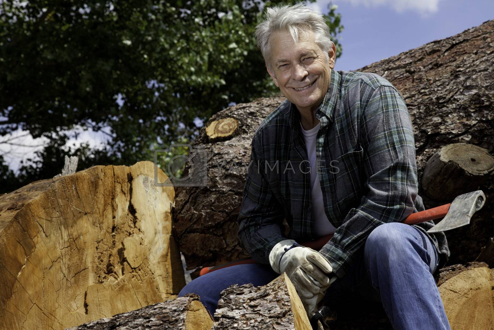 Royalty free image of Smiling senior man sitting on logs by moodboard