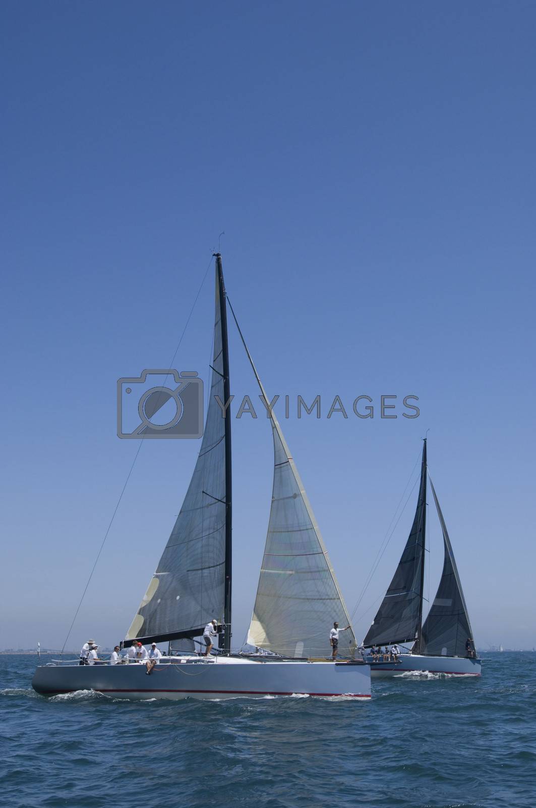 Royalty free image of Yachts compete in team sailing event California by moodboard