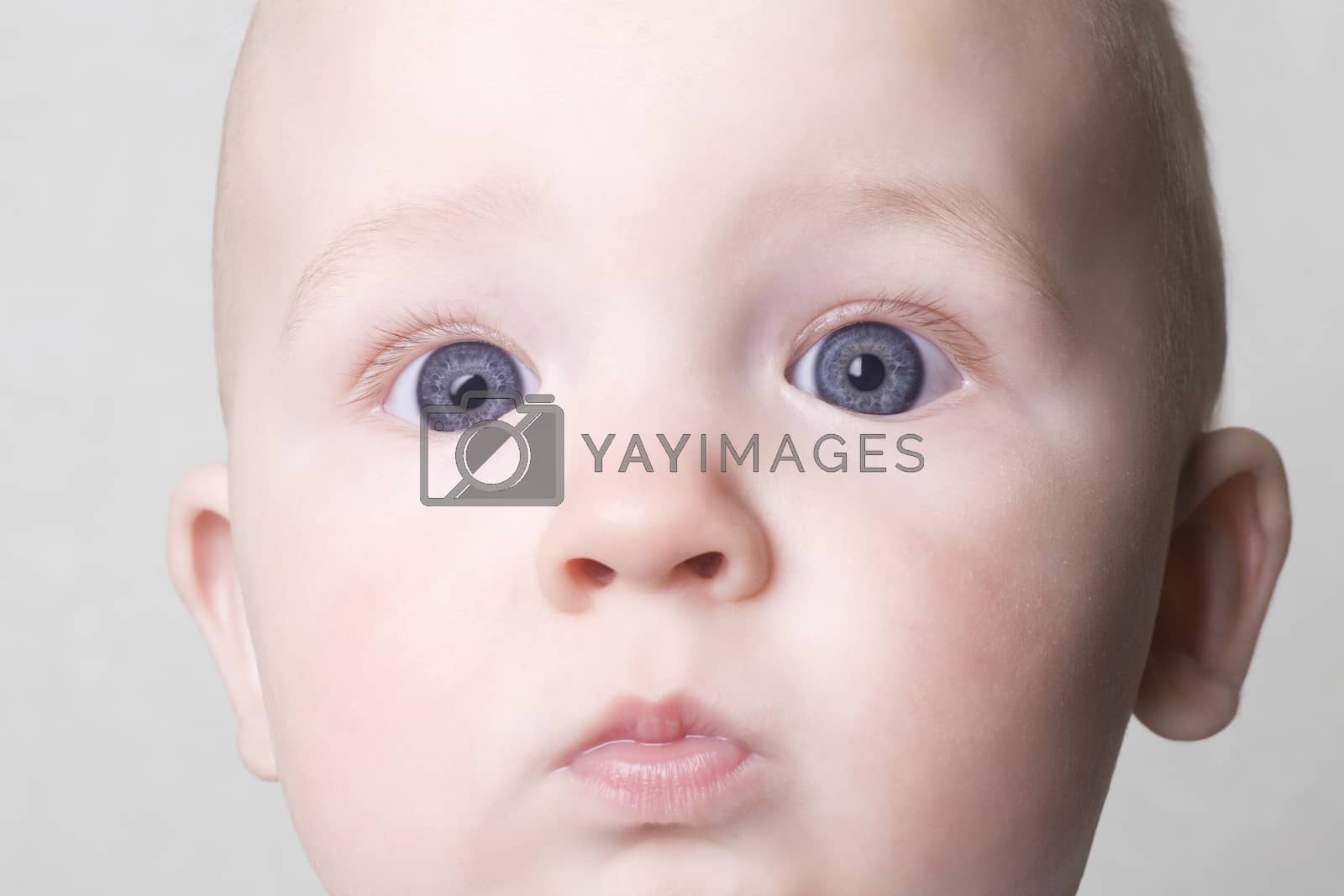 Royalty free image of Staring 18 month old with blue eyes by moodboard