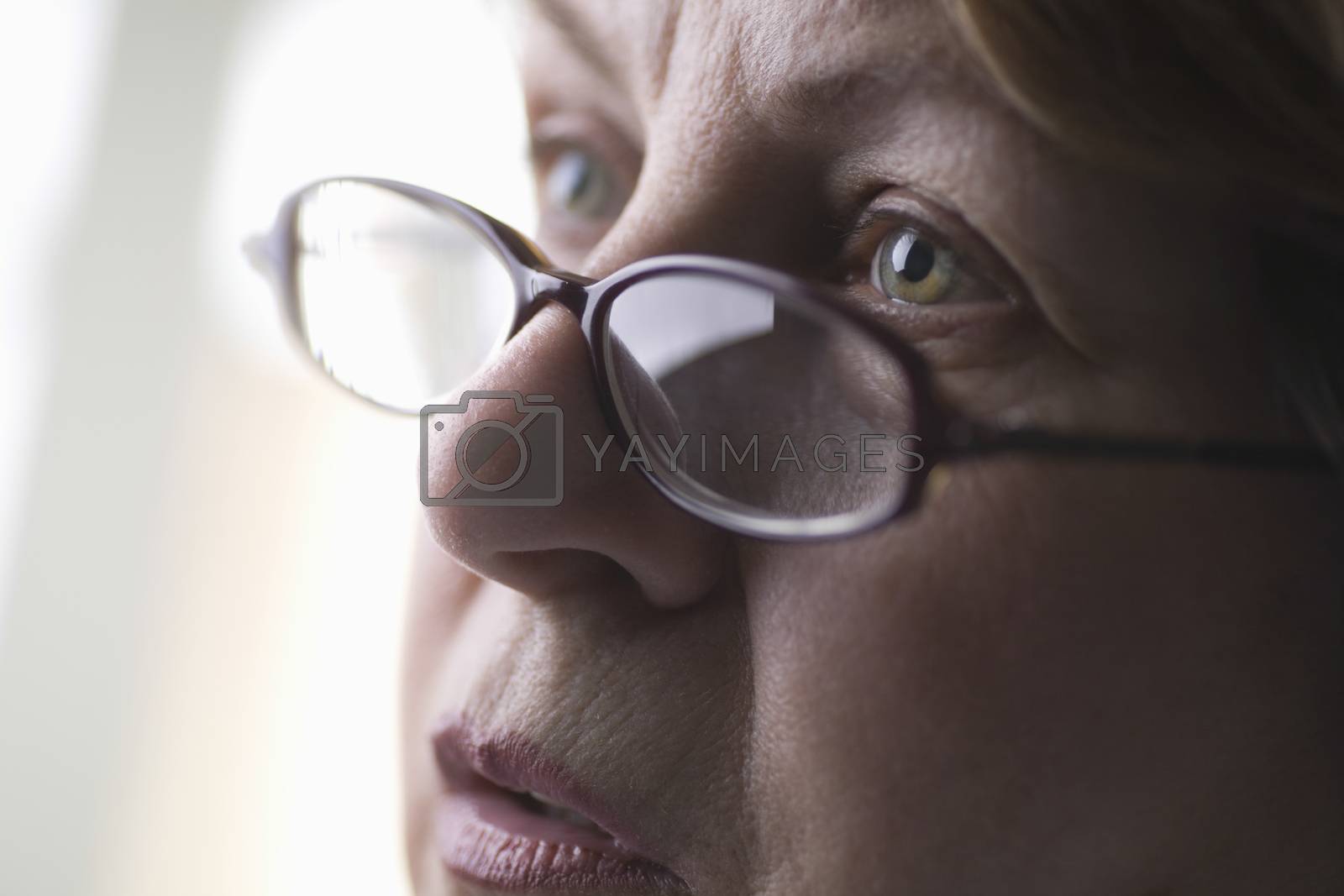 Royalty free image of Mature woman with reading glasses by moodboard