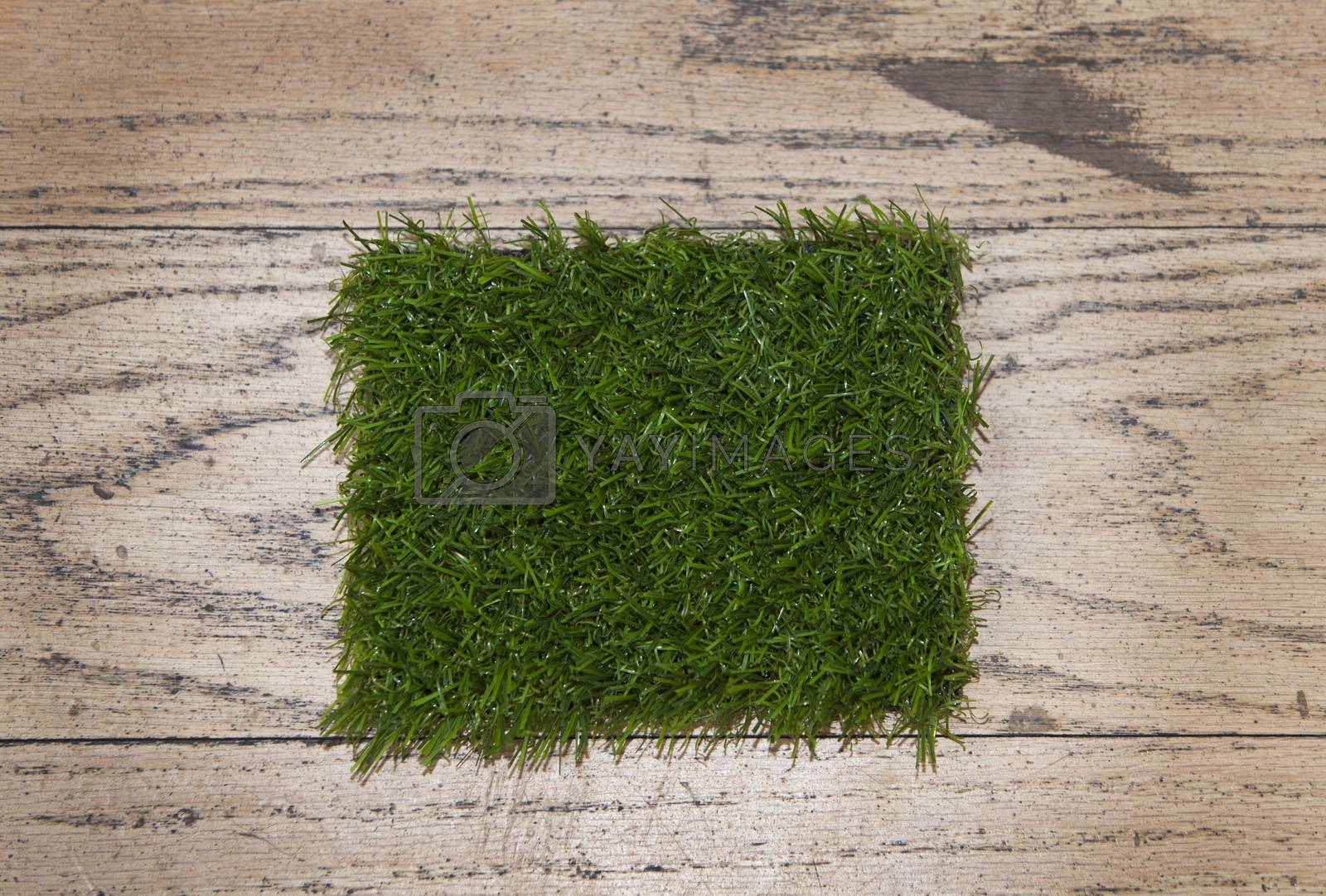 Royalty free image of Artificial grass close up by moodboard