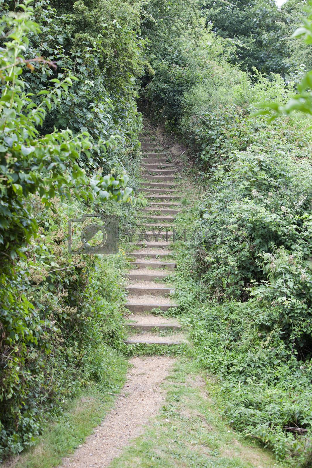 Royalty free image of Path of stairs in British Park by moodboard