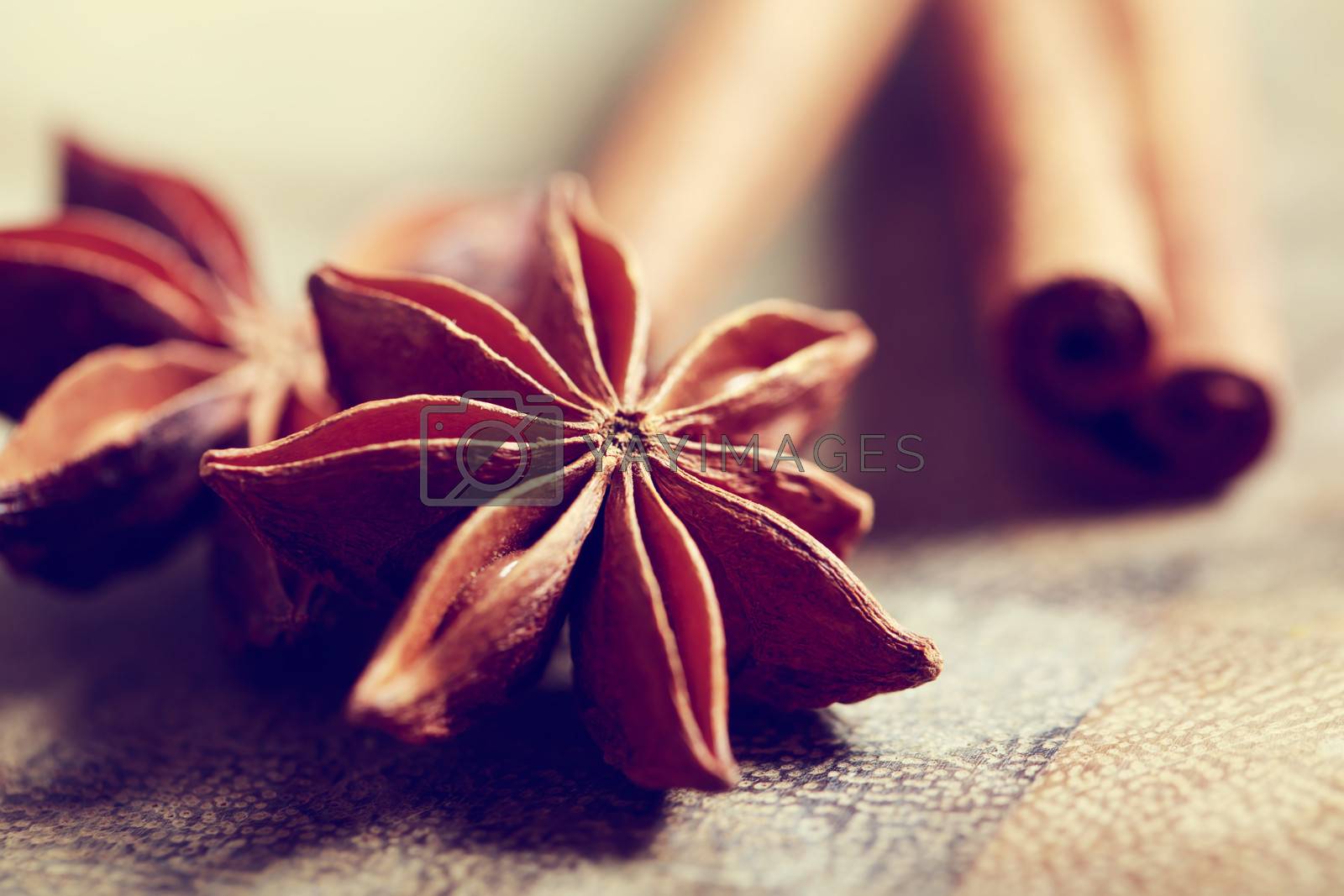 Royalty free image of Star anise with cinnamon sticks by melpomene