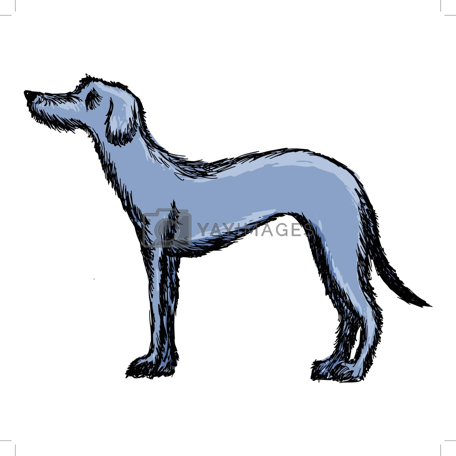 Royalty free image of deerhound by Perysty