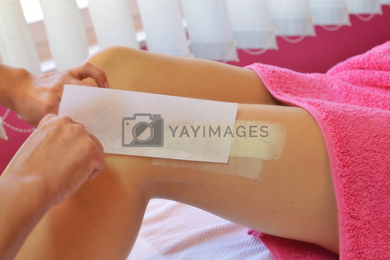 Royalty free image of day at the beauty salon by studio1901