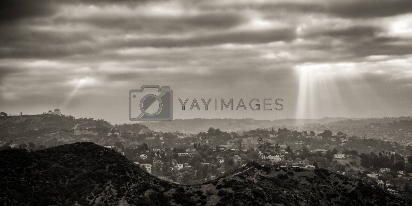 Royalty free image of Los Angeles from the Hollywood Bowl Overlook by CelsoDiniz