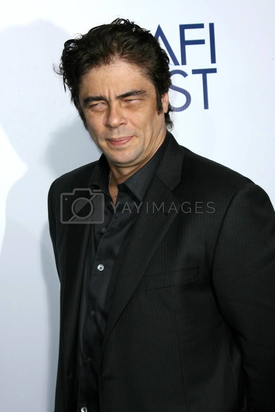 Royalty free image of Benicio Del Toro
/ImageCollect by ImageCollect