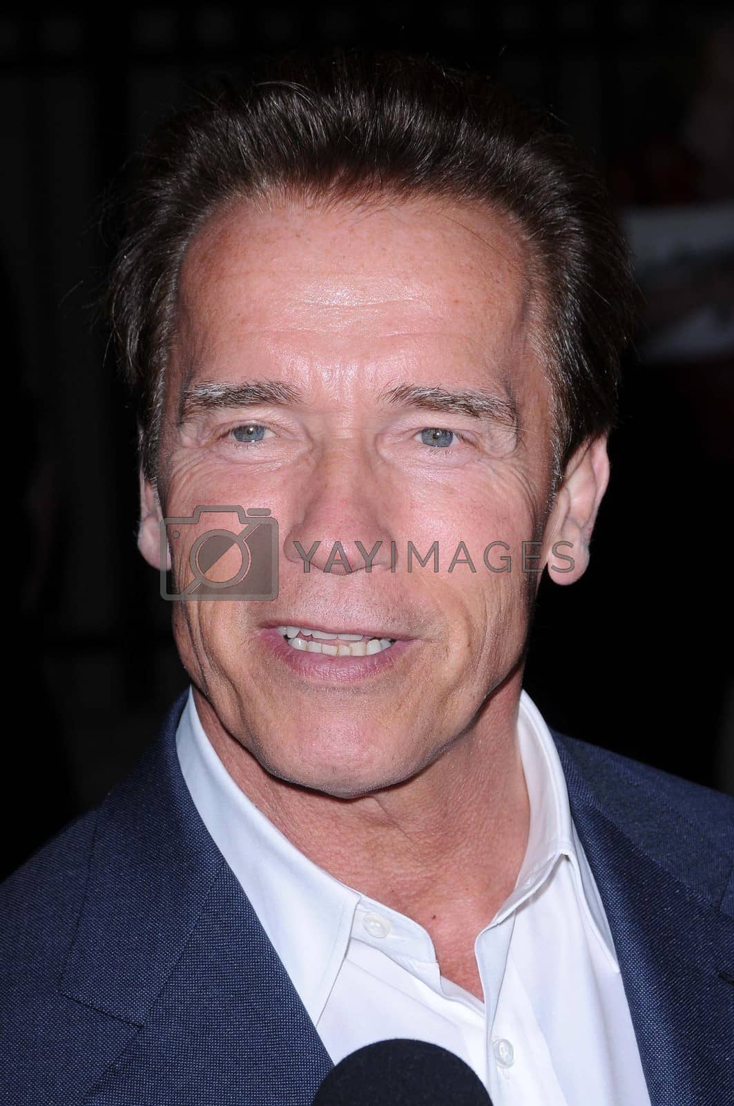 Royalty free image of Governor Arnold Schwarzenegger
/ImageCollect by ImageCollect