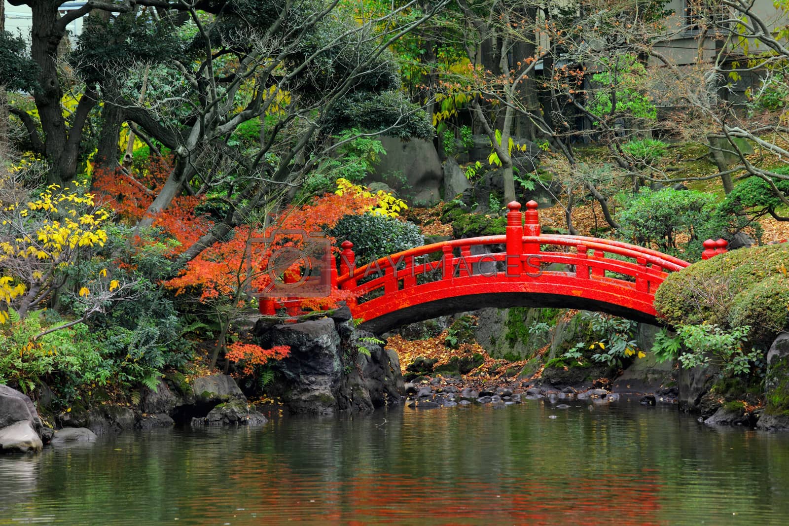 Royalty free image of Japanese garden by leungchopan