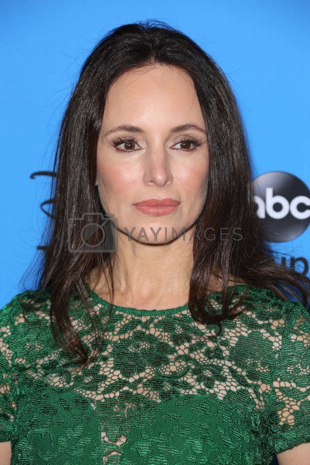 Royalty free image of Madeleine Stowe at the Disney/ABC Summer 2013 TCA Press Tour, Beverly Hilton, Beverly Hills, CA 08-04-13/ImageCollect by ImageCollect