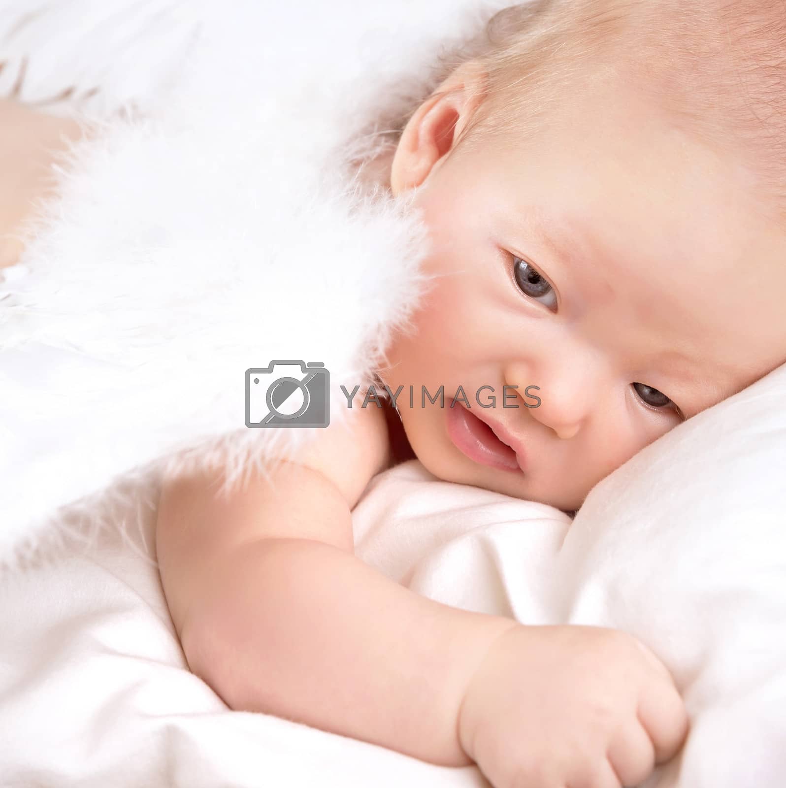 Royalty free image of Sweet angel baby by Anna_Omelchenko